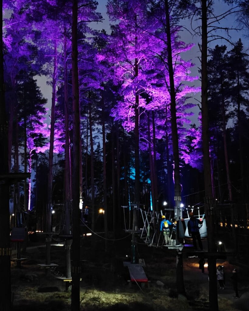 Nighttime forest with purple-lit trees, a rope course and people in helmets and harnesses among wooden platforms and equipment.